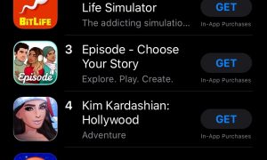 US_#1 Role-Playing Game_iOS App Store