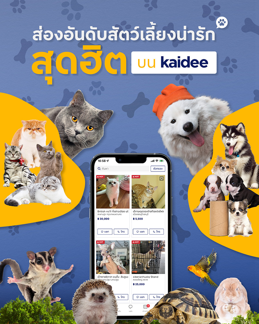 Kaidee Pet Section